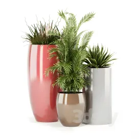 Plants collection awesomeplanters